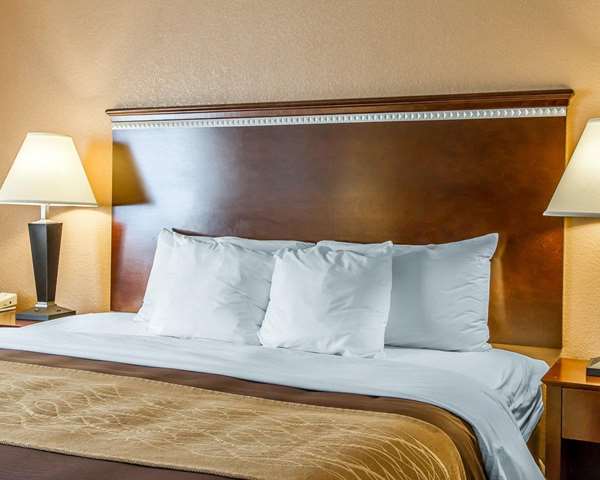 Quality Inn & Suites Mount Pleasant photo 3