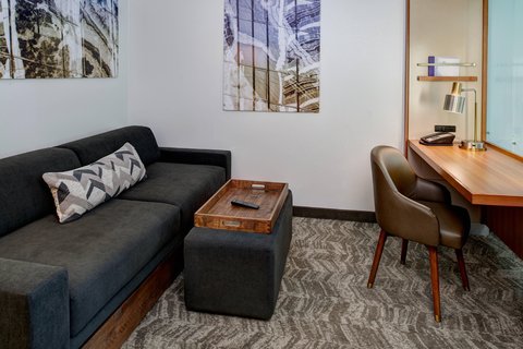 SpringHill Suites by Marriott Saginaw photo 3