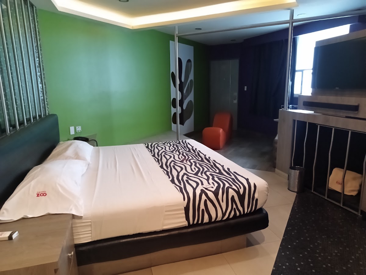 Hotel Zoo photo 2