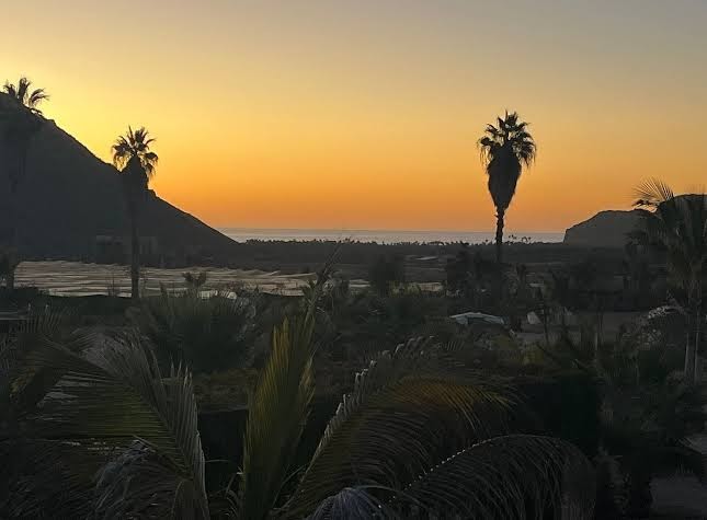 Baja Nomads Hotel photo 3
