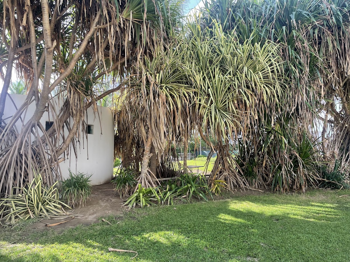 Club de Playa Mayan Lakes photo 2