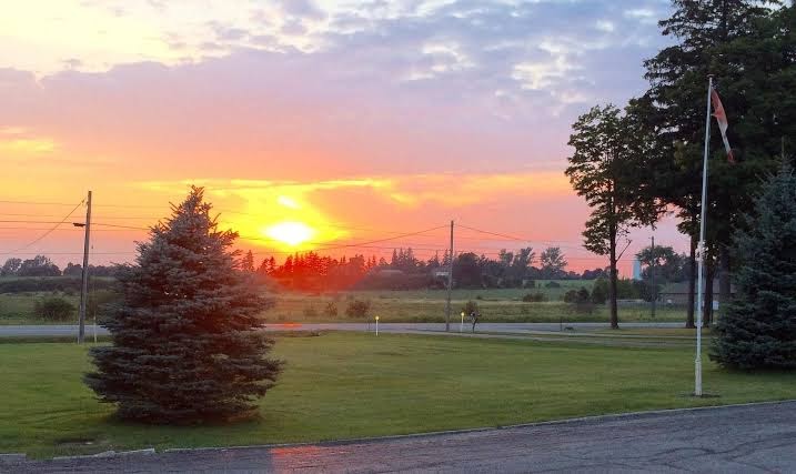 San-Man Motel photo 3