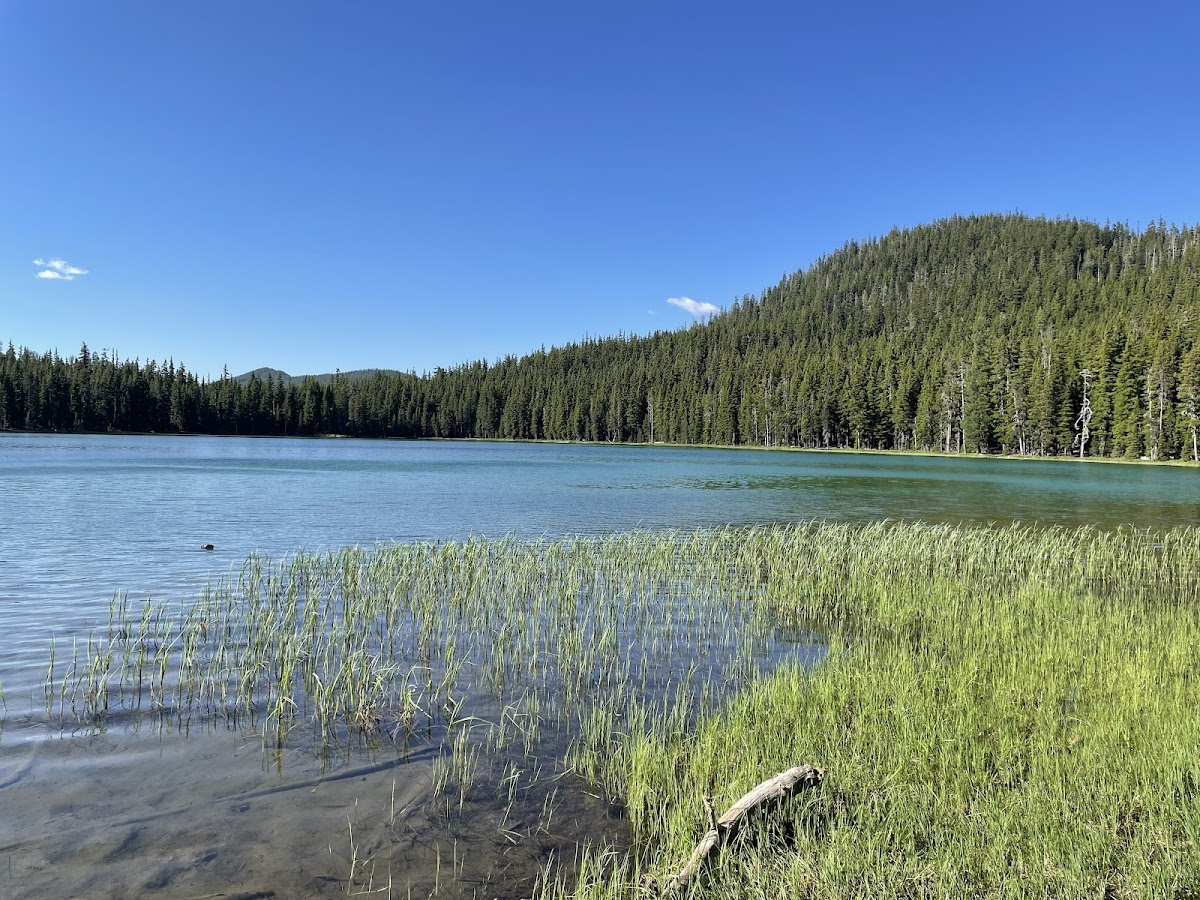 Maidu Lake