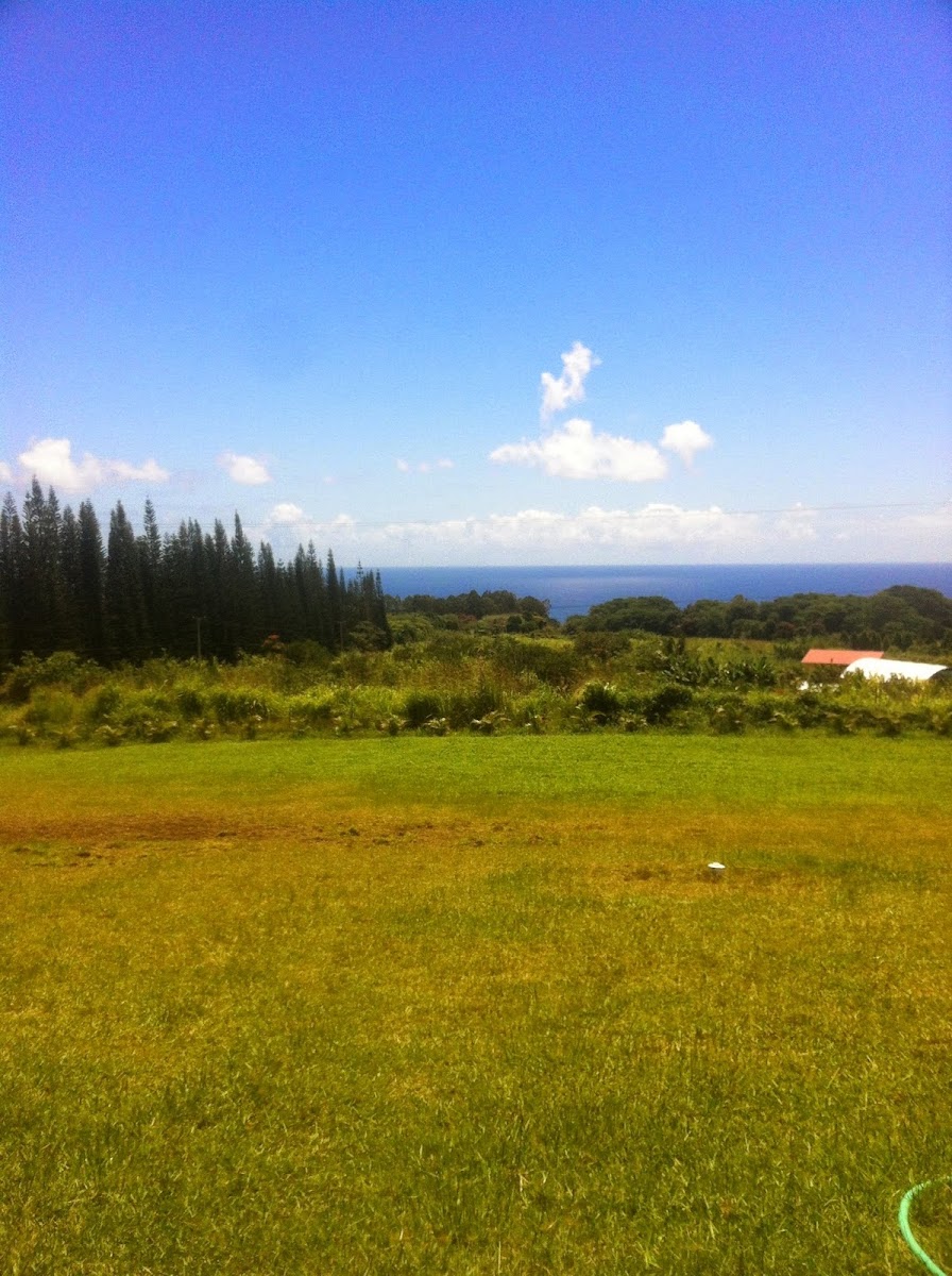 Mahana House Country Inn photo 2