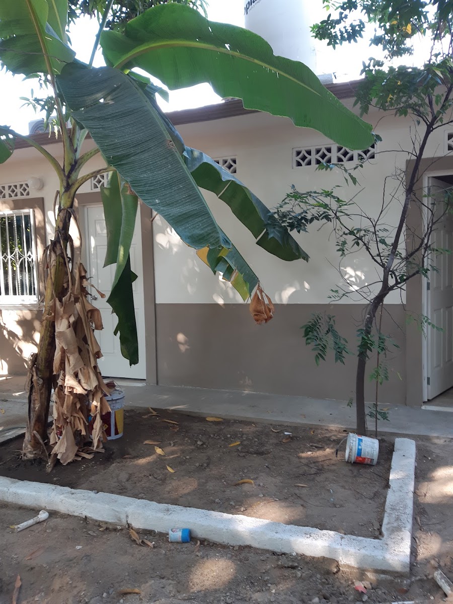 Motel Los Cocos photo 3