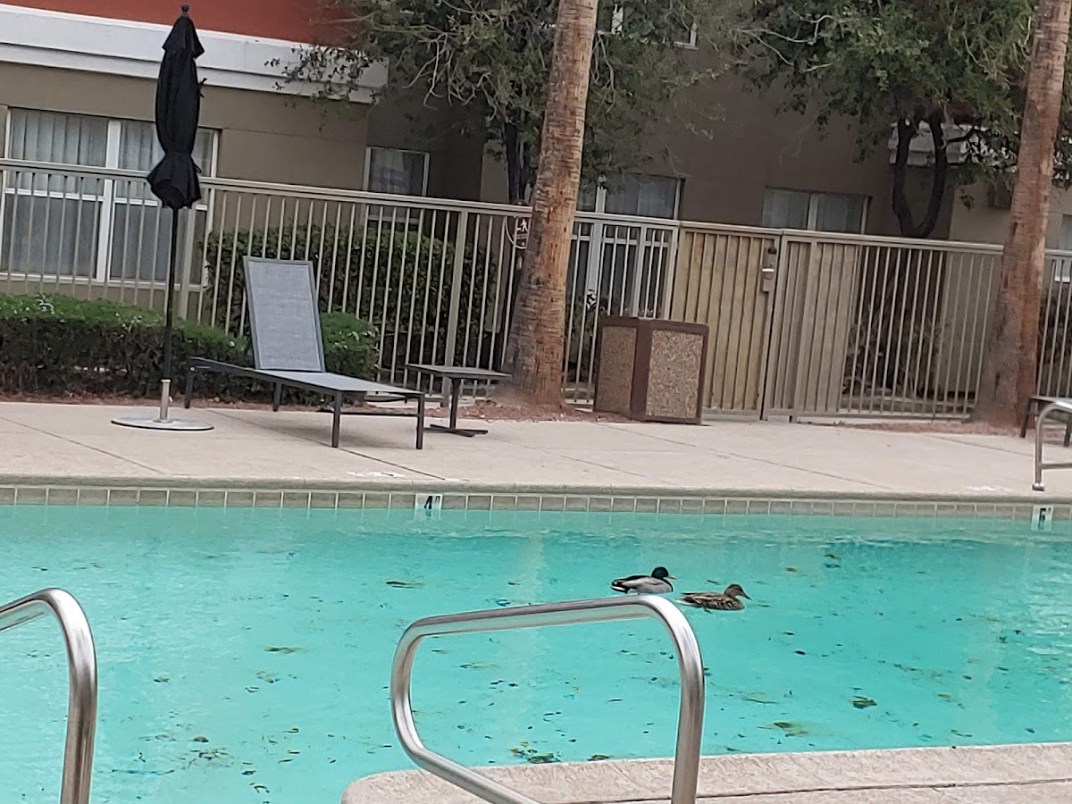 Residence Inn by Marriott Las Vegas Henderson/Green Valley photo 3