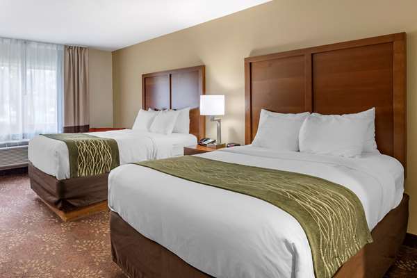 Comfort Inn Okemos - East Lansing photo 2