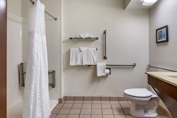 Comfort Inn Okemos - East Lansing photo 3