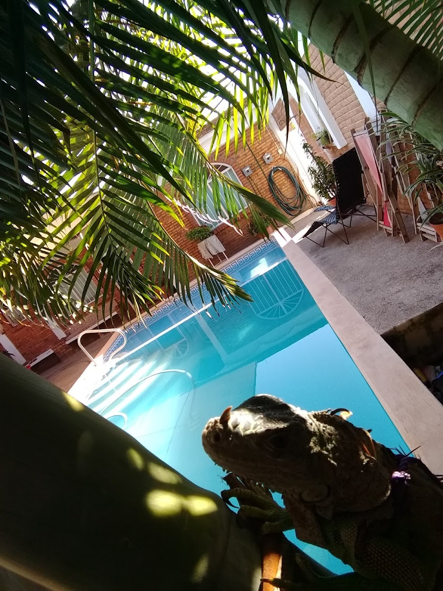 CASA CHEPES