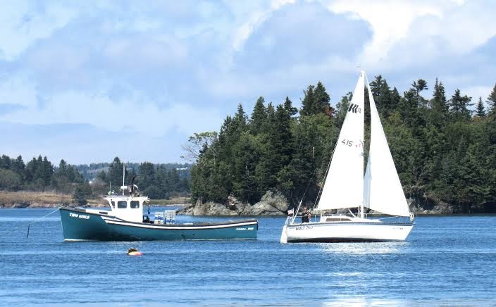 West Quoddy Station photo 3