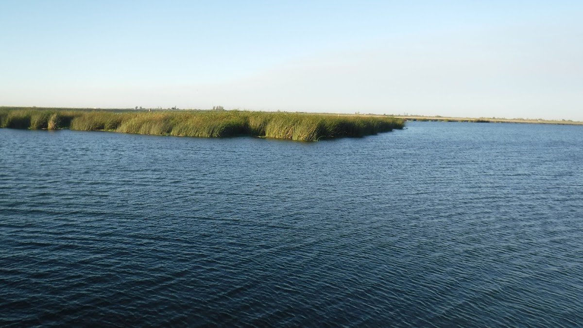 Sacramento-San Joaquin Delta