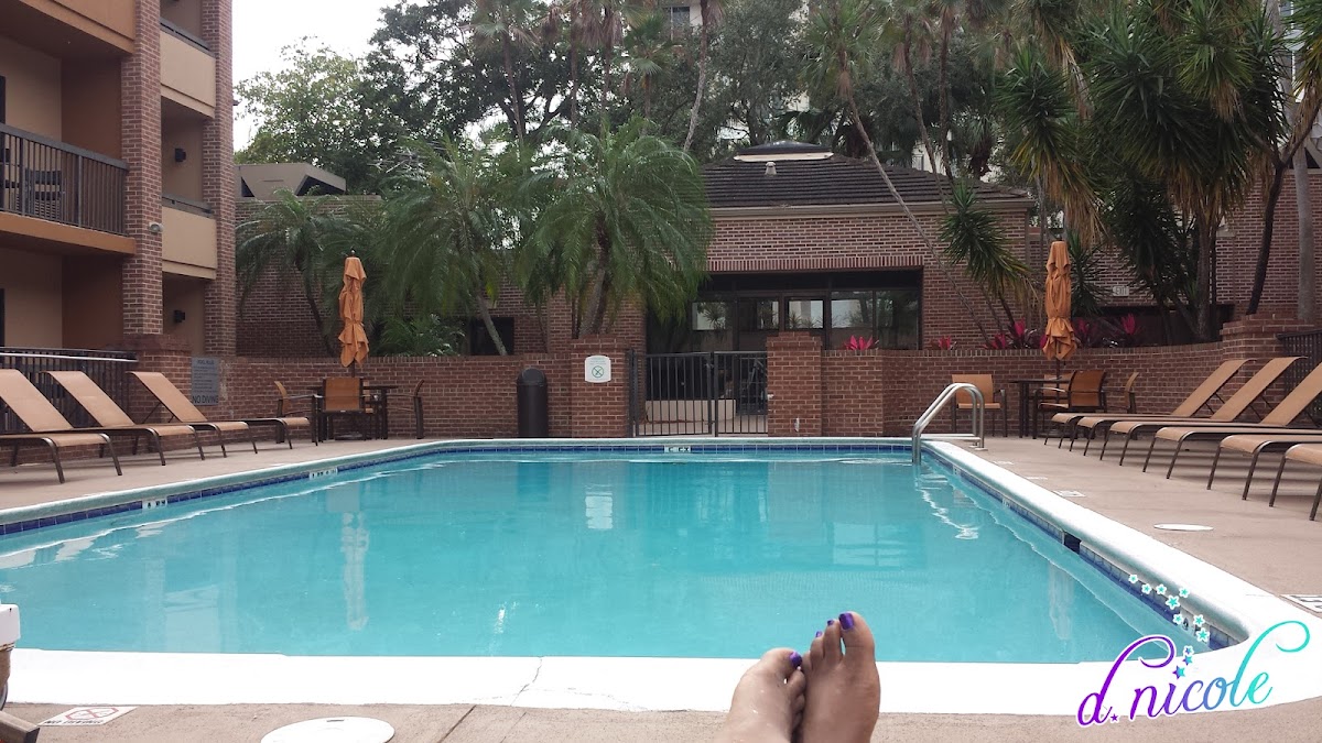 Courtyard by Marriott Fort Lauderdale City of Plantation photo 3