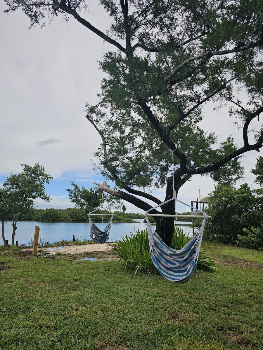 Old Florida Fish Camp Cedar Key photo 3