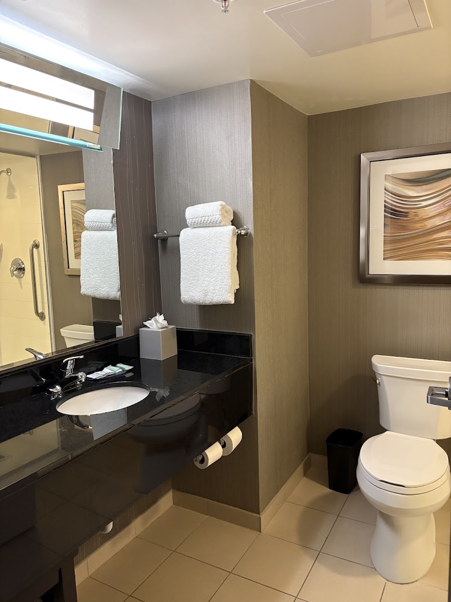 Courtyard by Marriott Charlotte Airport LoSo photo 3