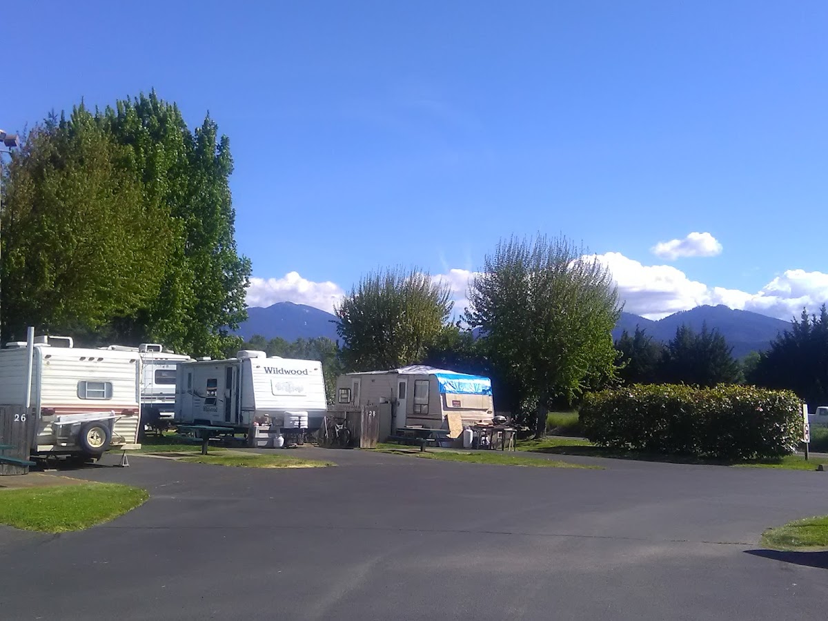 Pear Tree Motel