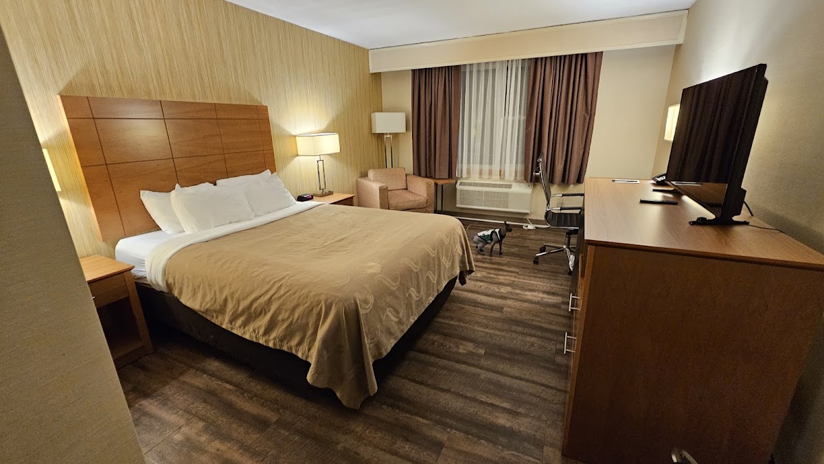 Quality Inn & Conference Centre Downtown photo 2