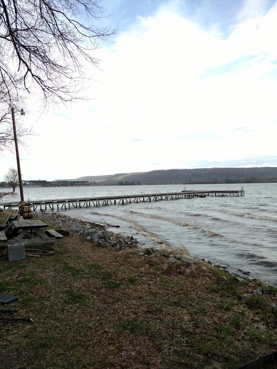 South Sauty Creek Resort Inc photo 3