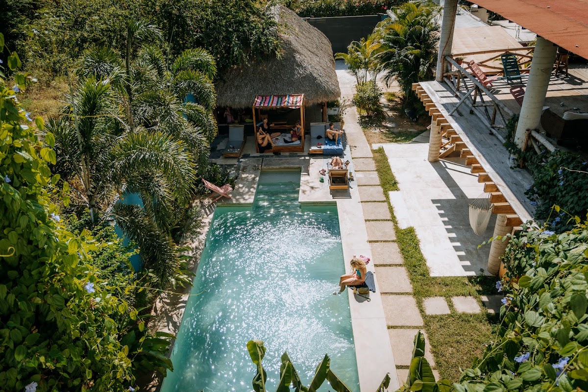 Surfnest Hostel