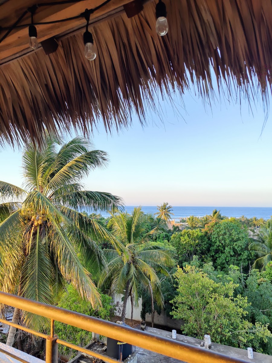 Surfnest Hostel photo 2