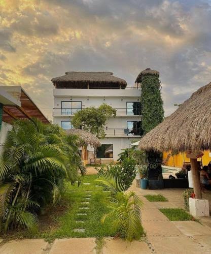 Surfnest Hostel photo 3