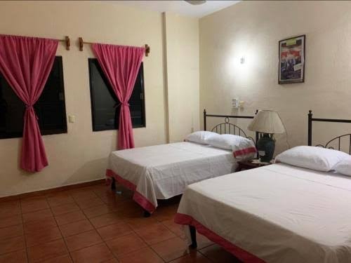 Hotel 'Jacaranda' photo 3