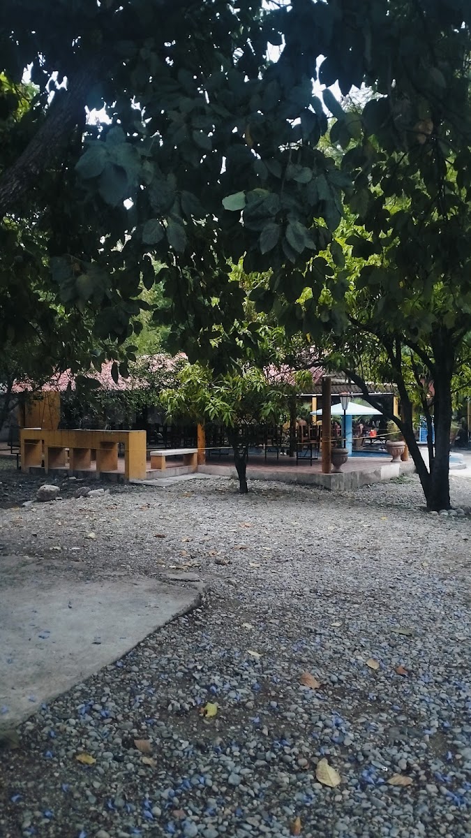 ALBERCA LAS HUERTAS photo 3