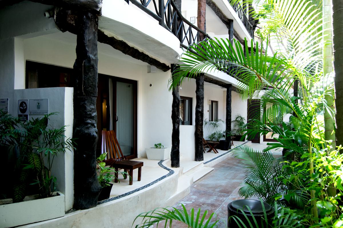 Siesta Fiesta Hotel photo 3