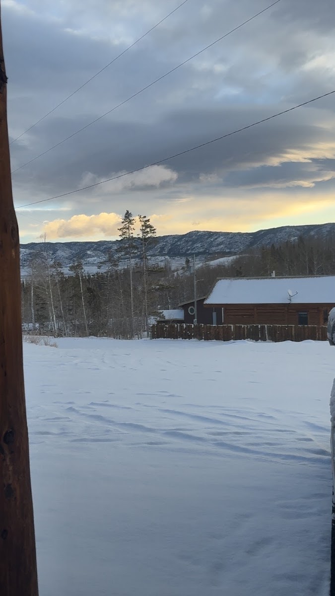 Albany Lodge photo 3