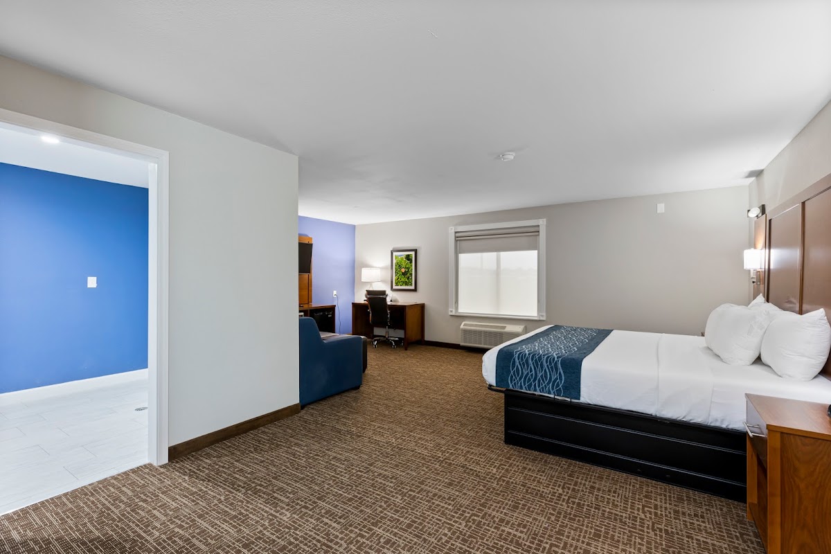 Comfort Inn & Suites St. Louis-Hazelwood photo 2