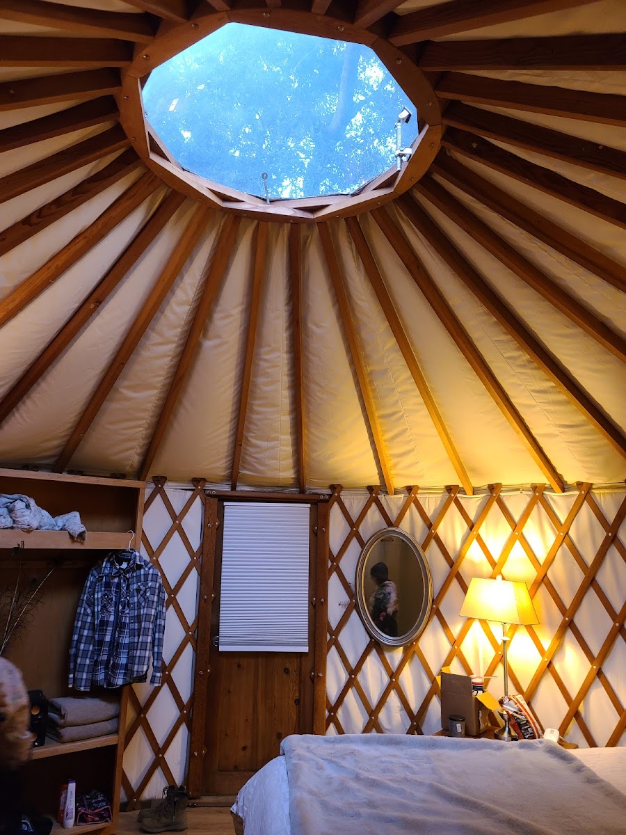 Lupin Lodge photo 2