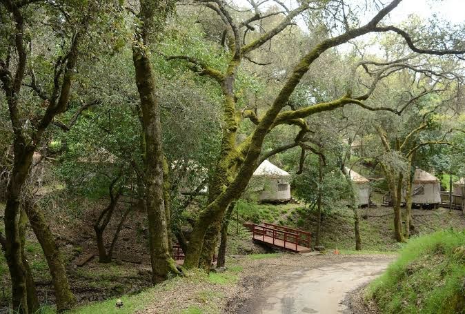 Lupin Lodge photo 3