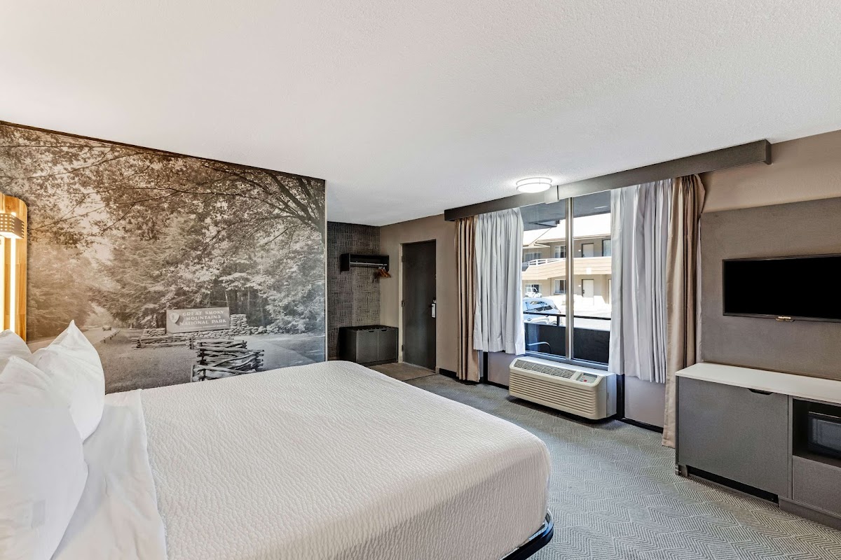 The Wander Hotel, a Ramada by Wyndham photo 2