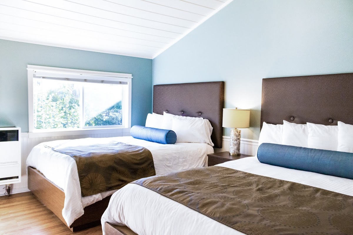 Ocean Echo Inn & Beach Cottages photo 2