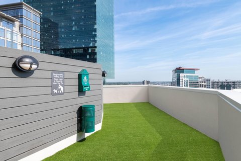 Residence Inn by Marriott Charlotte City Center photo 2