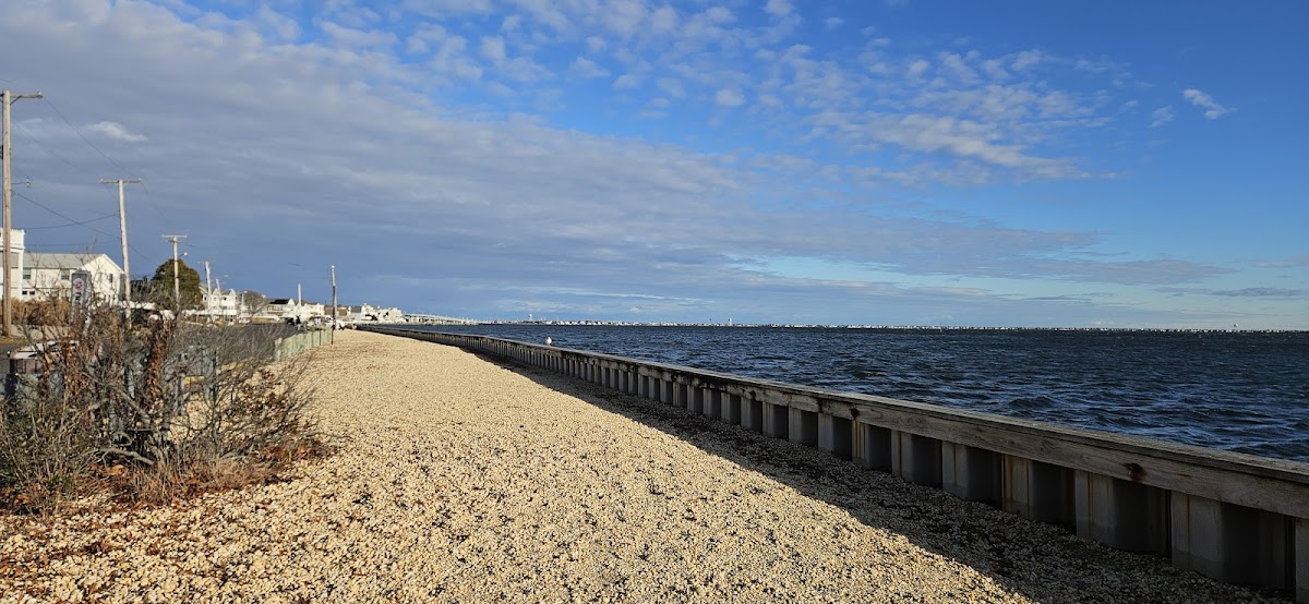 Bay Shore Beach Club photo 2