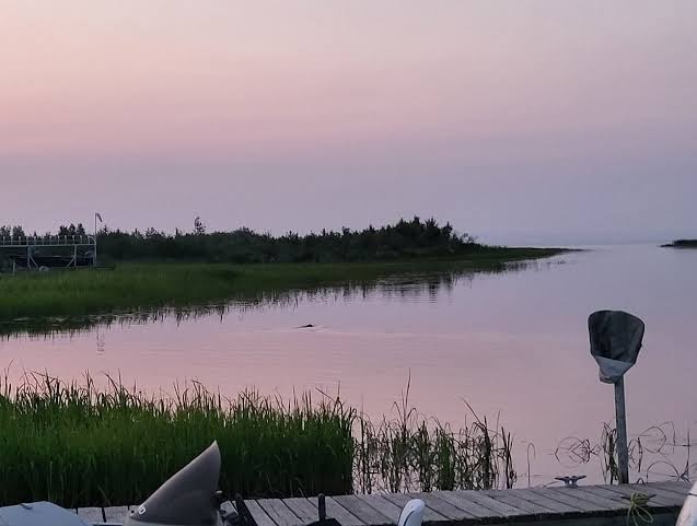 Keeley Lake Resort photo 3