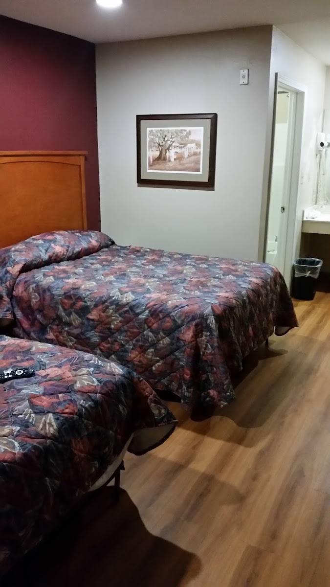 Room 4