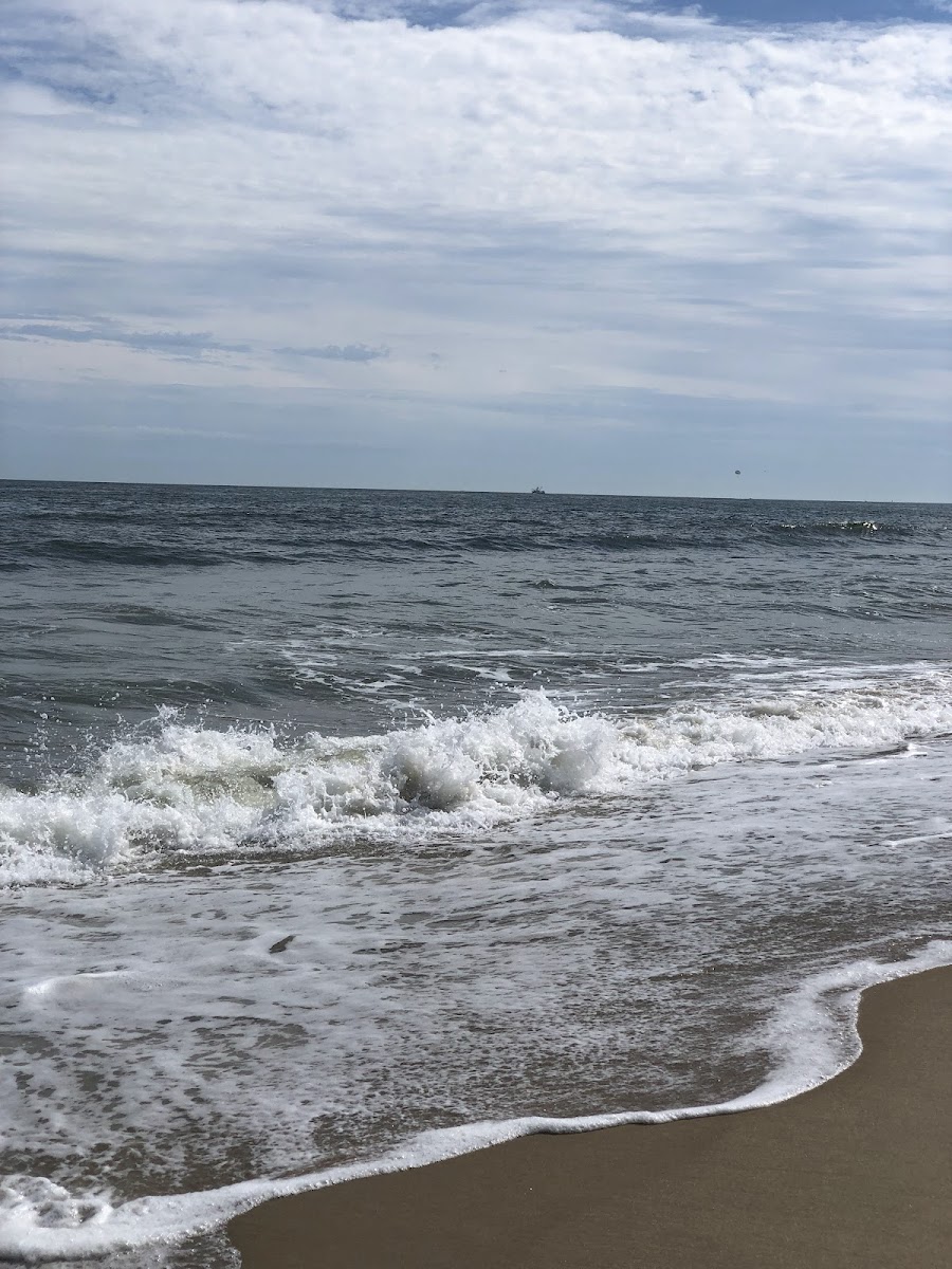 Ocean City Beach