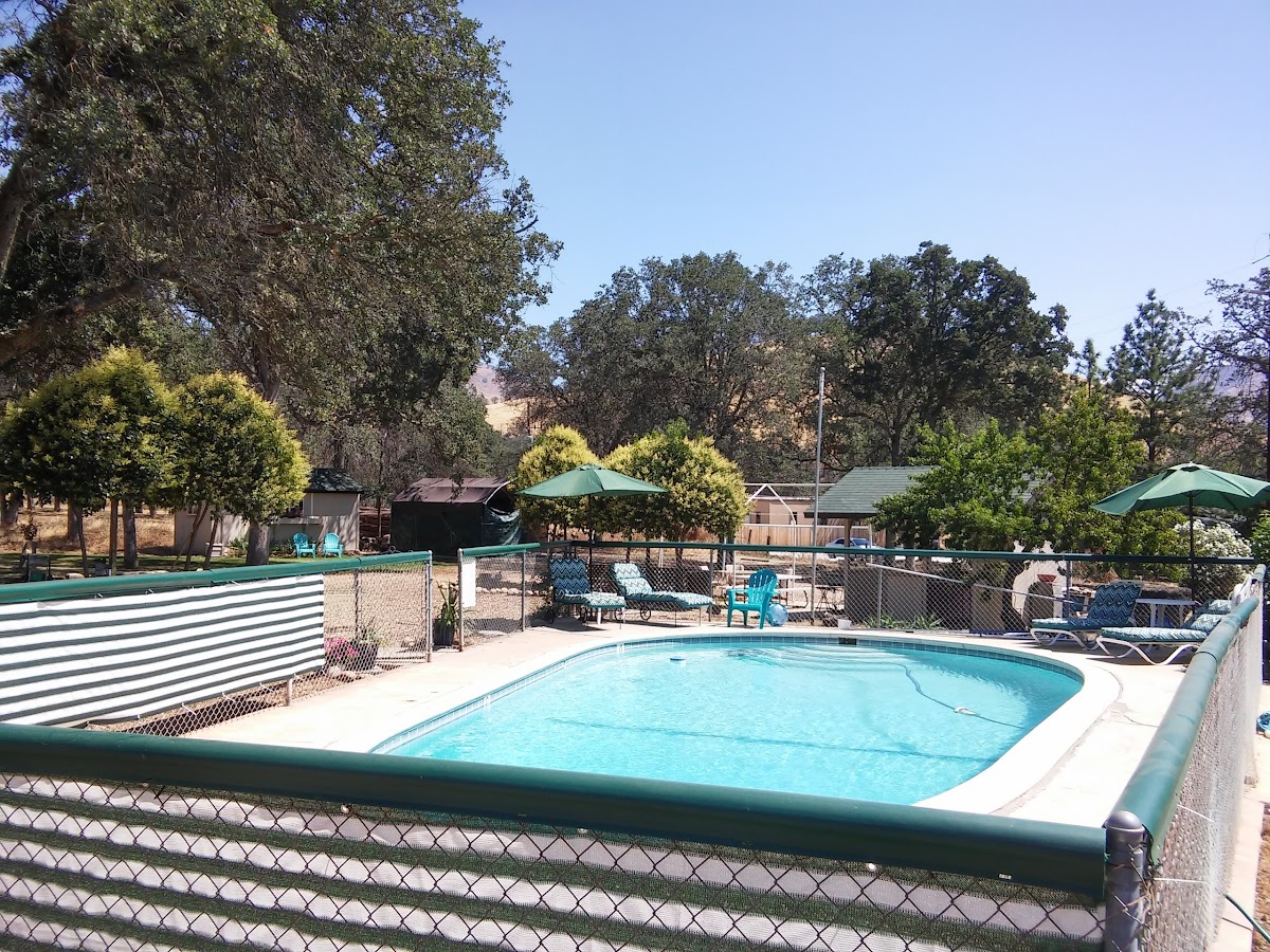 Squaw Valley Motel photo 3