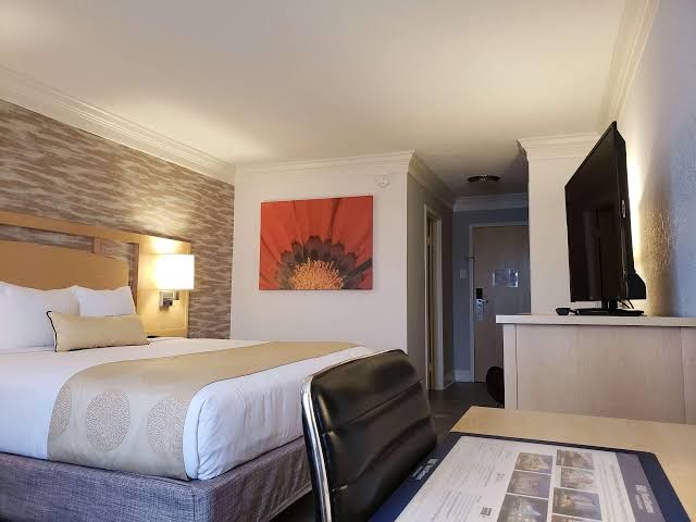 Best Western Skyline Motor Lodge photo 3
