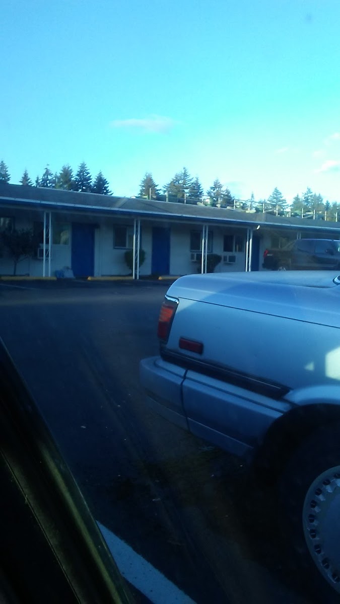 Stevenson Motel photo 3