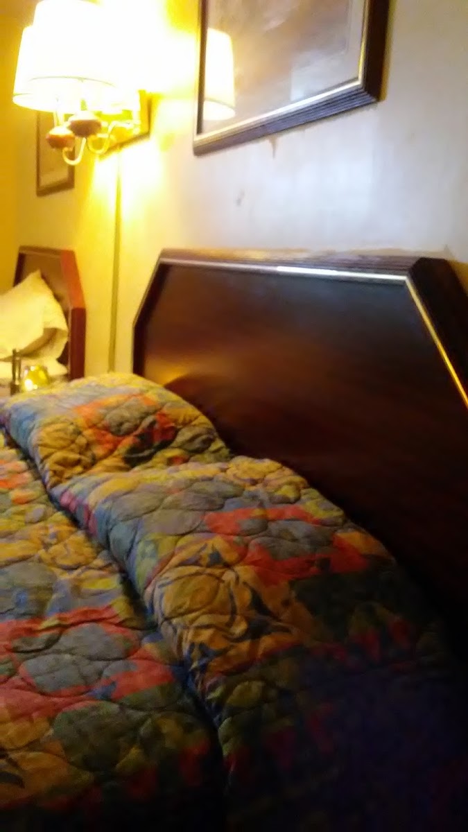 Carousel Inn photo 2