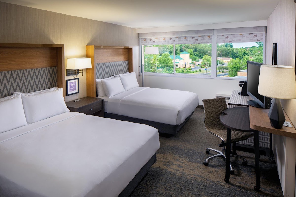 Holiday Inn Charlottesville-Monticello by IHG photo 3