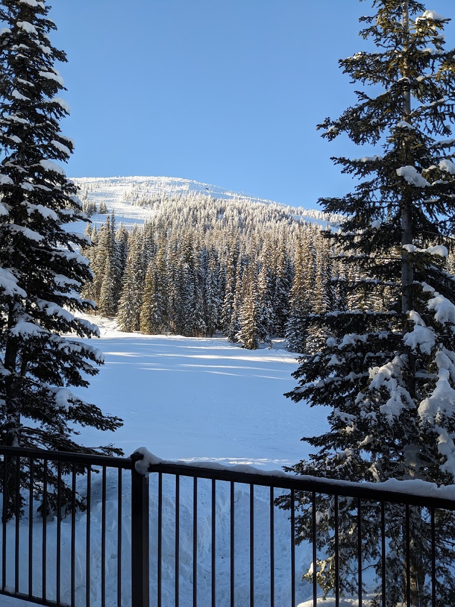 Tinhorn Lodge photo 2