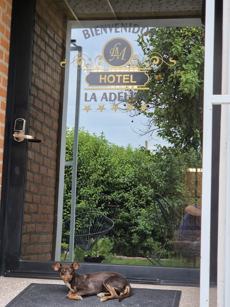 Hotel L&M La Adelita