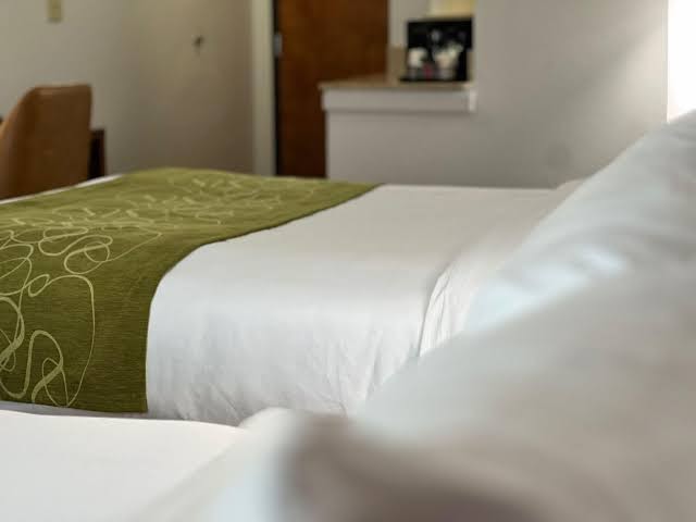 Comfort Suites Louisville East photo 3