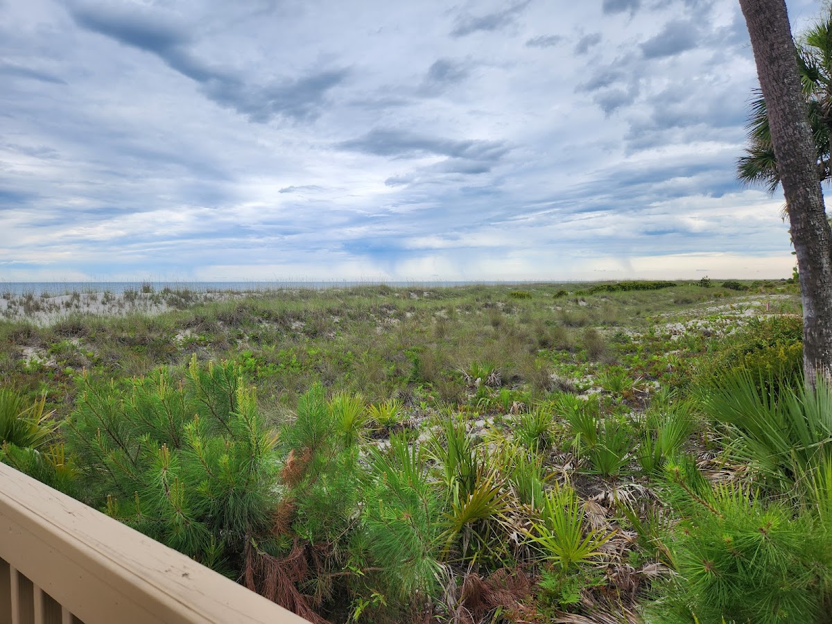 Hampton Place at Palmetto Dunes photo 3