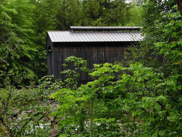 White Mountain Motel and Cottages photo 3