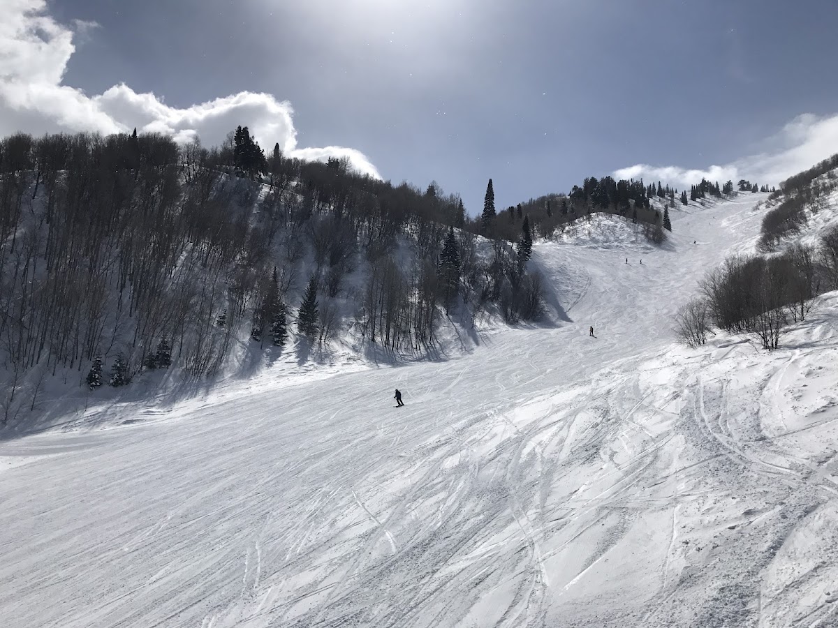 Snowbasin Resort photo 2
