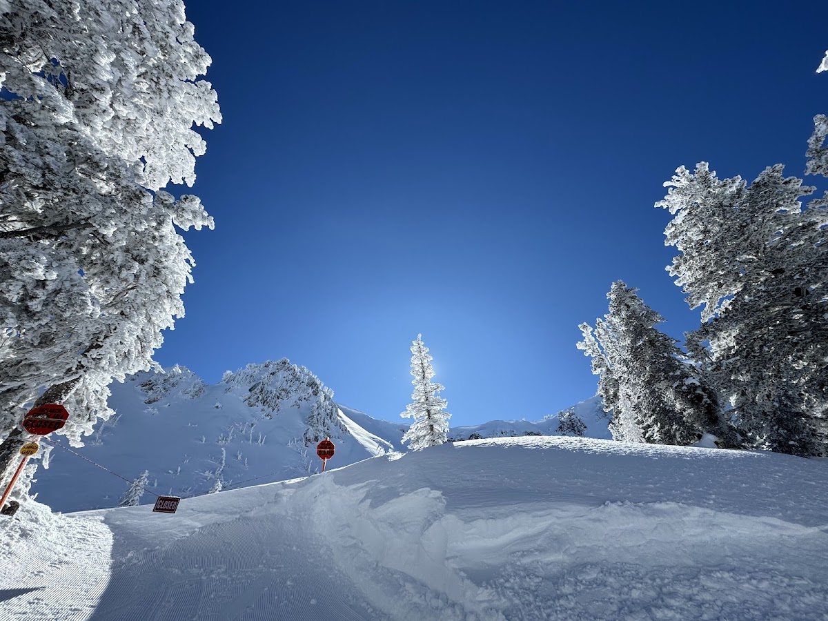 Snowbasin Resort photo 3